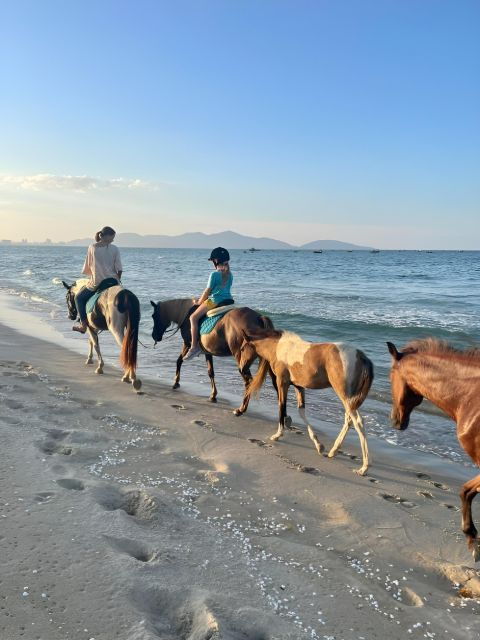 From Da Nang: Half Day Horse Riding and Coconut Boat-Hoi An. - Activity Details