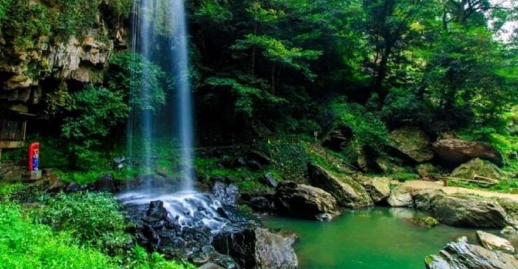 From Da Nang/Hoi An: Bach Ma National Park Day Trip - Good To Know