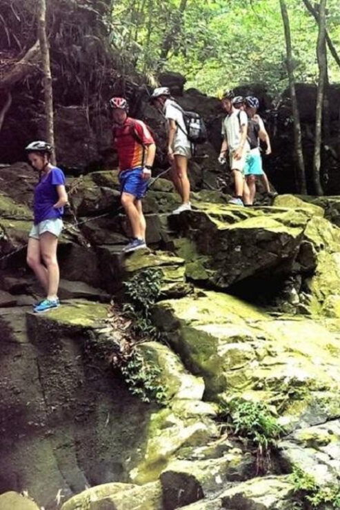 From Da Nang/Hoi An: Bach Ma National Park Day Trip - Itinerary Highlights