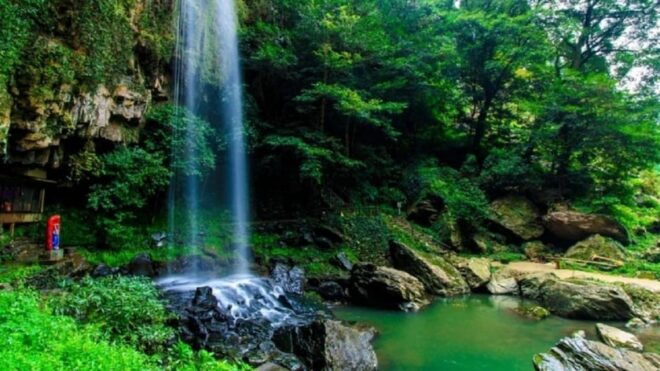 From Da Nang/Hoi An: Bach Ma National Park Day Trip - Pickup and Drop-off Details