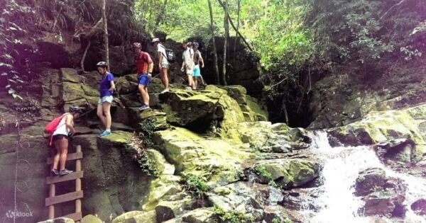From Da Nang/Hoi An: Bach Ma National Park Day Trip - Scenic Stops Along the Way
