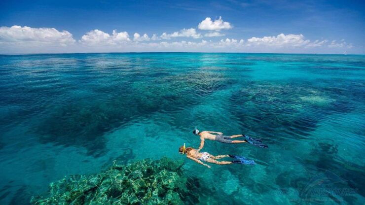 From Da Nang/ Hoi An: Cham Island Snorkeling Private Tour - Booking Information