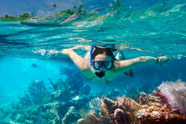 From Da Nang/ Hoi An: Cham Island Snorkeling Private Tour - Tour Experience