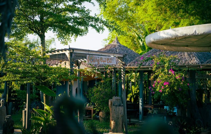 From Da Nang: Hoi An Private Day Tour with Wood Carving Art Workshop - What to know before you book