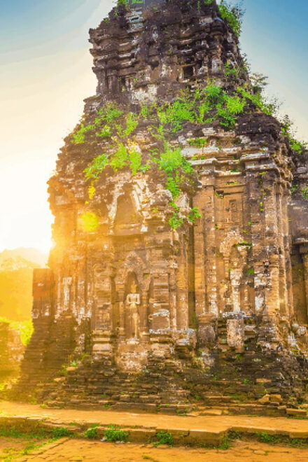 From Da Nang/ Hoi An: Visit My Son Sanctuary In Half Day - Highlights of the Experience