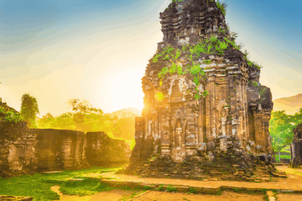 From Da Nang/ Hoi An: Visit My Son Sanctuary In Half Day - Tips for Your Visit