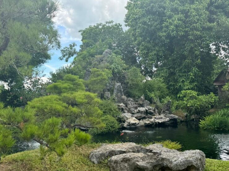 From Da Nang: Hue Imperial City With Hai Van Pass or Tunnels - Cultural Experiences