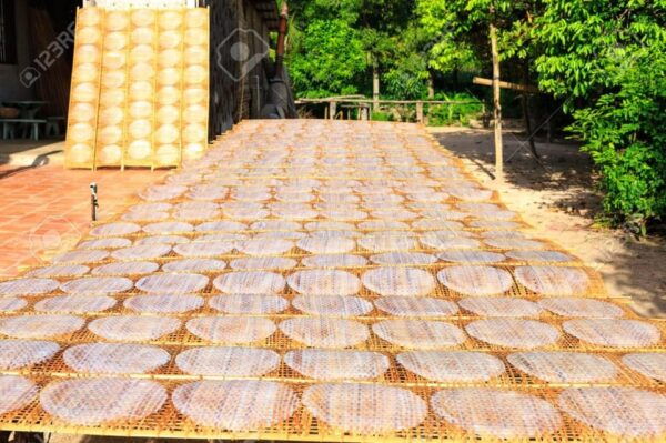 From Da Nang: My Son Sanctuary and Rice Paper Making Tour - Frequently Asked Questions