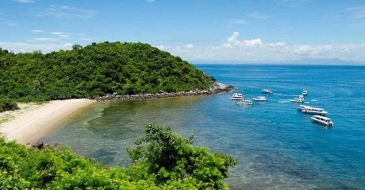 From Da Nang or Hoi An: Cham Island Tour - Itinerary and Schedule