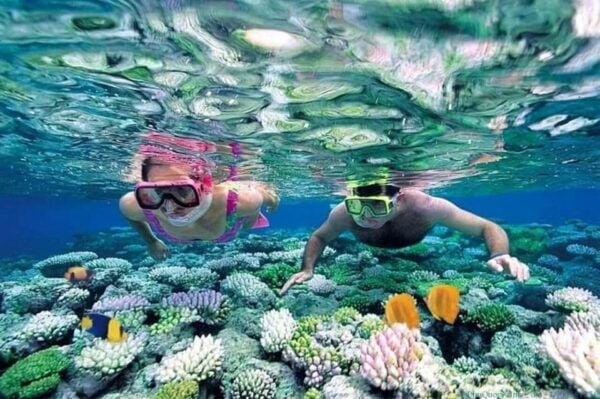 From Da Nang or Hoi An: Cham Island Tour - Customer Reviews