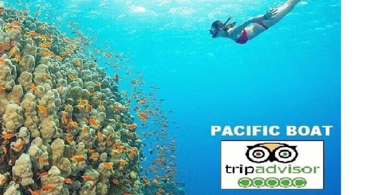 From Da Nang: Snorkeling & Island Hopping Tour by Speedboat - Transportation and Tour Value
