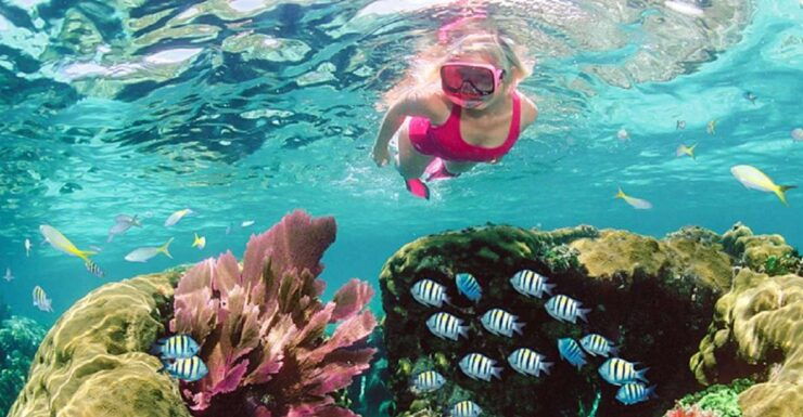 From Dahab: Three Pools Guided Snorkeling Tour With Lunch - Booking Details