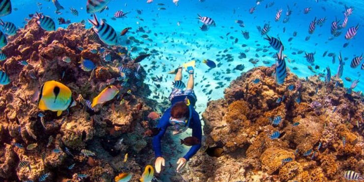 From Dahab: Three Pools Guided Snorkeling Tour With Lunch - Pickup and Itinerary