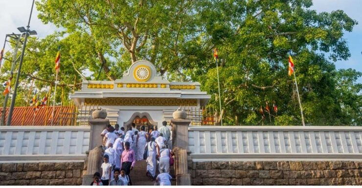 From Dambulla: Guided Tour to Ancient City of Anuradhapura - Tour Booking Details