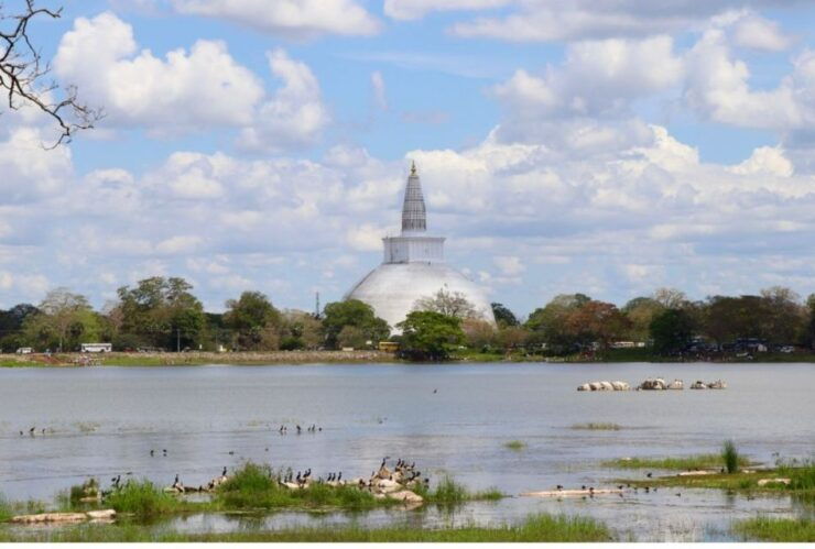 From Dambulla: Guided Tour to Ancient City of Anuradhapura - Highlights of Anuradhapura