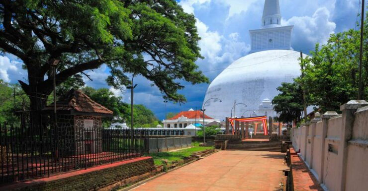 From Dambulla: Sacred City of Anuradhapura Private Day Tour - Activity Details