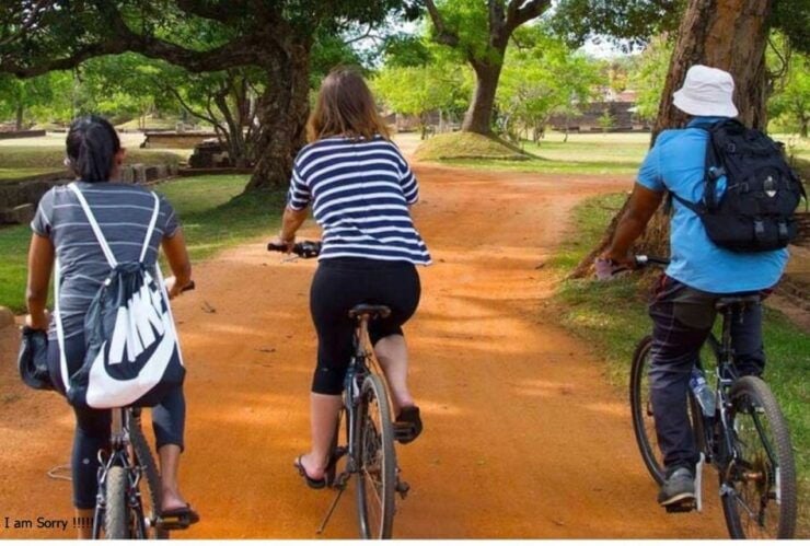 From Dambulla/Sigiriya: Ancient City of Anuradhapura by Bike - Activity Details