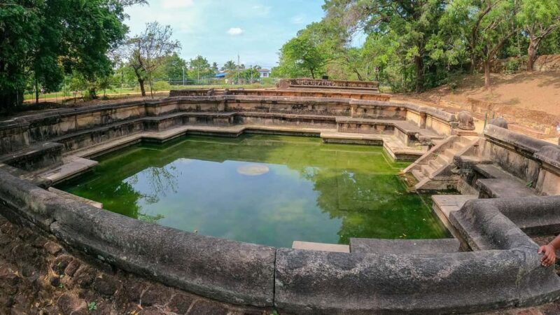 From Dambulla, Sigiriya: Polonnaruwa Tuk Tuk Day Tour - Value for Money