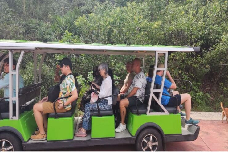 From Danang: My Son Sanctuary & Hoi an 1 Day Tour - Good To Know