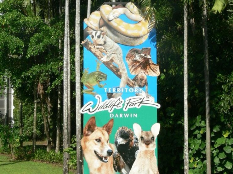 From Darwin: 1 Day Territory Wildlife Park Tour - Aviaries and Aqua-Scaped Exhibits