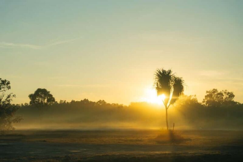 From Darwin: 4-Day Kakadu, Katherine & Litchfield Explorer - An In-Depth Look at the 4-Day Northern Territory Adventure