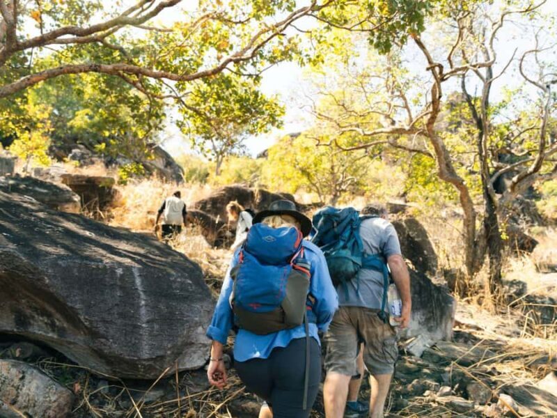 From Darwin: 4-Day Kakadu, Katherine & Litchfield Explorer - The Sum Up