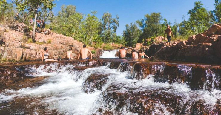 From Darwin: Litchfield National Park Full Day Tour - Booking Information