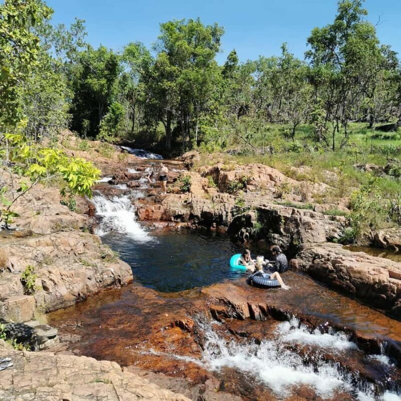 From Darwin: Litchfield National Park Small-Group Day Trip - Exploring the Litchfield National Park Small-Group Day Trip from Darwin