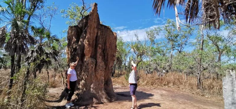 From Darwin: Litchfield National Park Small-Group Day Trip - Good To Know
