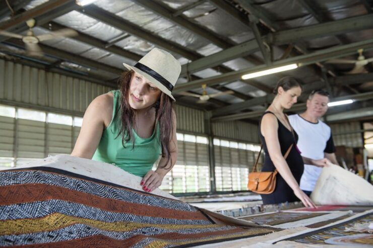 From Darwin: Tiwi Islands Cultural Day Tour by Ferry - Experience Highlights