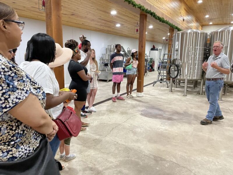 From DC: Premium Virginia Wine Country Tour with Tastings - An In-Depth Review of the Virginia Wine Country Tour