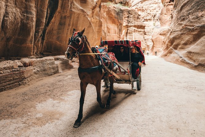 FROM Dead Sea | PETRA City Tour in One Day | Lunch & Admission Fees Included - Inclusions and Exclusions