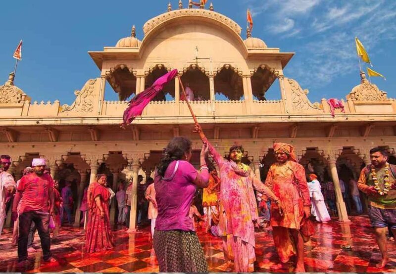 From Delhi: 1-day trip Mathura with Elephant conservation - Good To Know