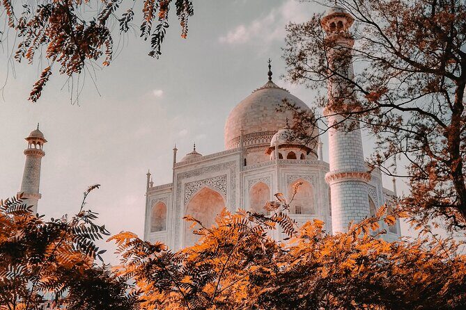 From Delhi: 2 Day Golden Triangle Tour India - Final Thoughts: Is This Tour Right for You?