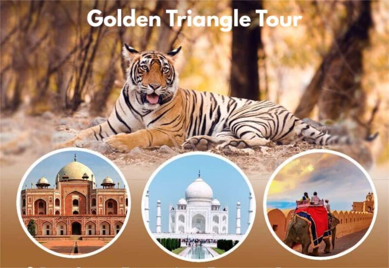 From Delhi: 3-Day Golden Triangle Tour with Tiger Safari - Exploring the Itinerary in Detail