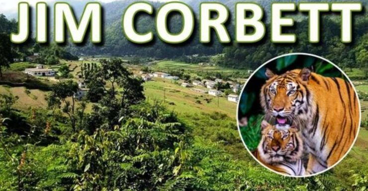 From Delhi: 3-Day Wildlife Trip to Jim Corbett National Park - Good To Know