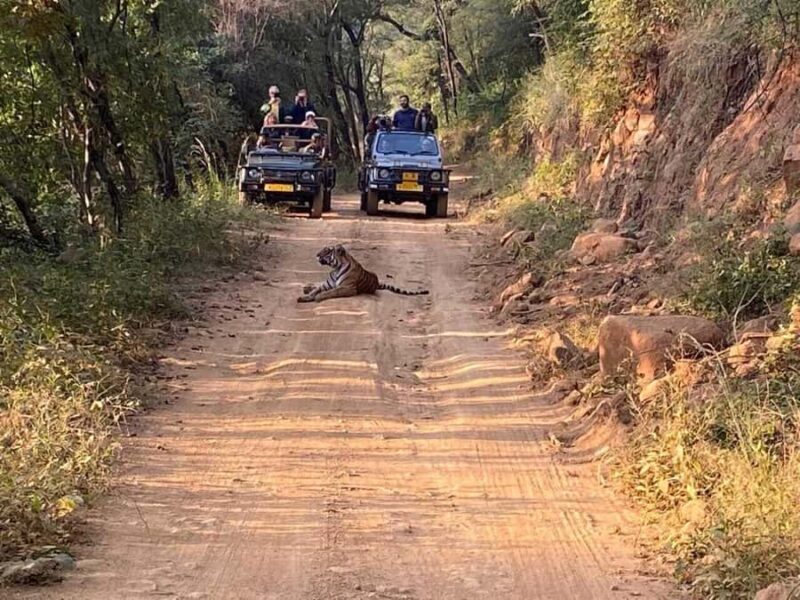 From Delhi: 3 Days Golden Triangle Tour With Tiger Safari - Good To Know