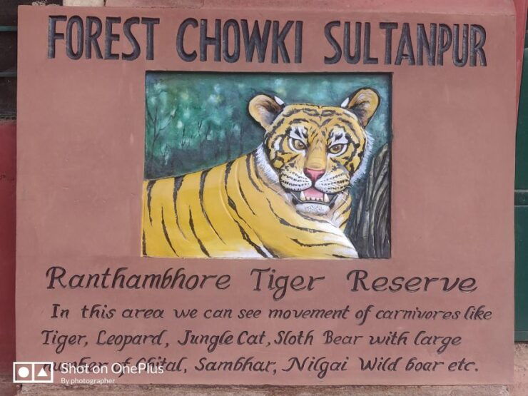 From Delhi: 3-Days Jaipur & Ranthambore Wildlife Safari Tour - Tour Details