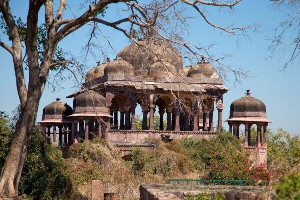 From Delhi: 4-Day Golden Triangle & Ranthambore Tiger Safari - The Sum Up
