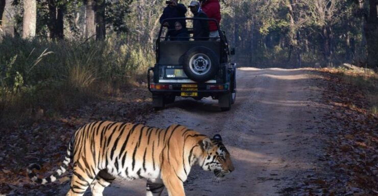 From Delhi: 5-Day Golden Triangle & Ranthambore Safari Tour - Tour Details