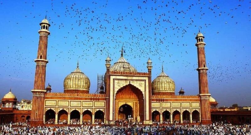 From Delhi: 5-Day Golden Triangle Tour with Car+Pickup+Guide - Who Will Love This Tour?