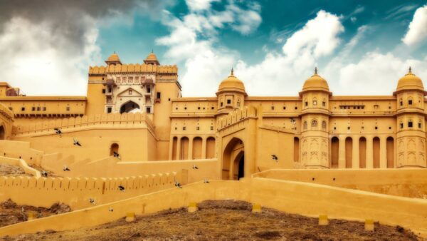 From Delhi: 5-Day Tiger Safari & Golden Triangle Tour - Common Questions