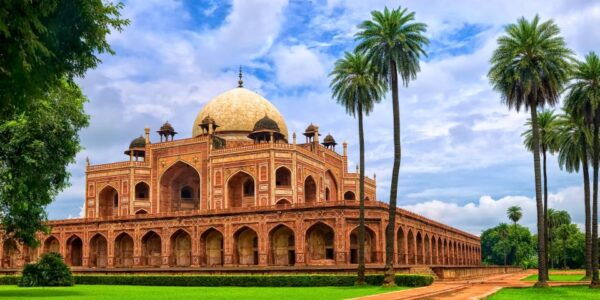 From Delhi: 5-Day Tiger Safari & Golden Triangle Tour - The Sum Up