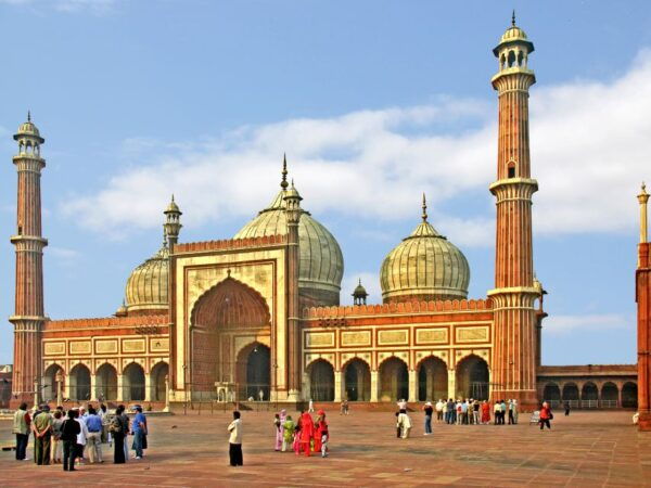 From Delhi: 5-Day Tiger Safari & Golden Triangle Tour - Return to Delhi: Day 5