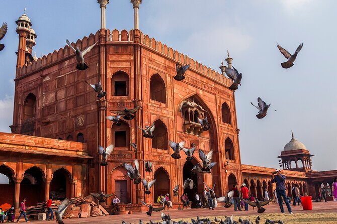 From Delhi 5 Days Private Golden Triangle Tour With Ranthambore - The Sum Up