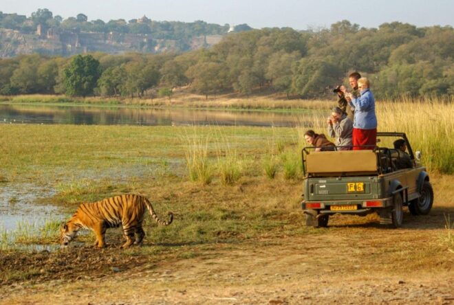 From Delhi : 6 Days Delhi, Jaipur, Agra & Ranthambore By Car - Important Information