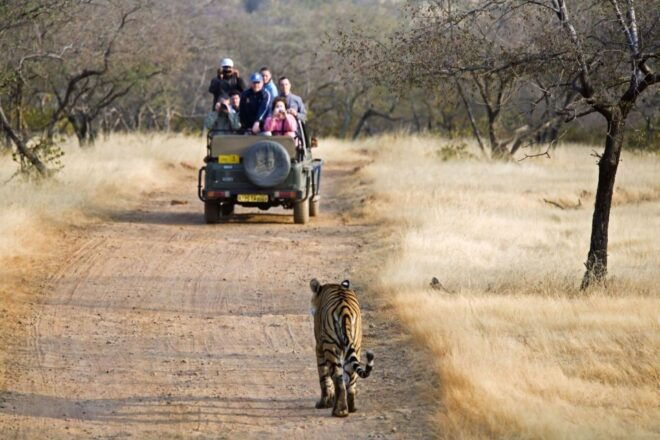 From Delhi : 6 Days Delhi, Jaipur, Agra & Ranthambore By Car - Pricing Details