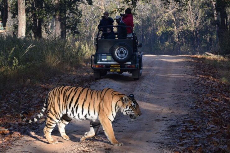 From Delhi: 7-Day Golden Triangle Tour & Ranthambore Safari - Tour Duration: 7 Days