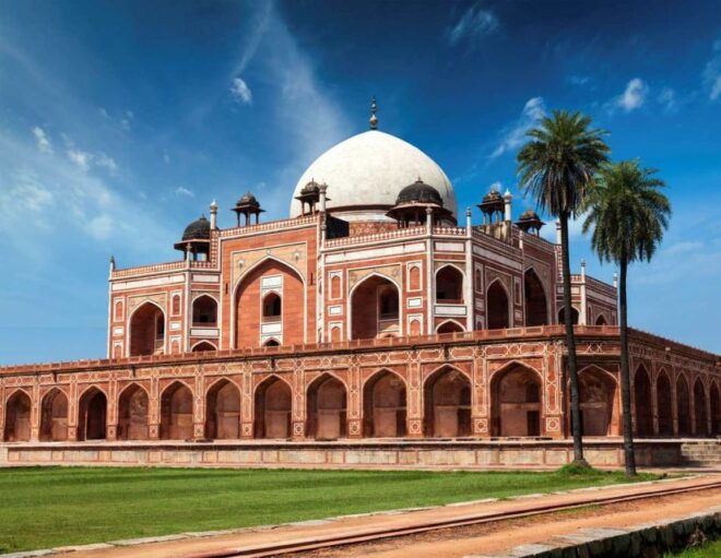 From Delhi: 7-Day Golden Triangle Tour & Ranthambore Safari - Ranthambore National Park Safari Experience