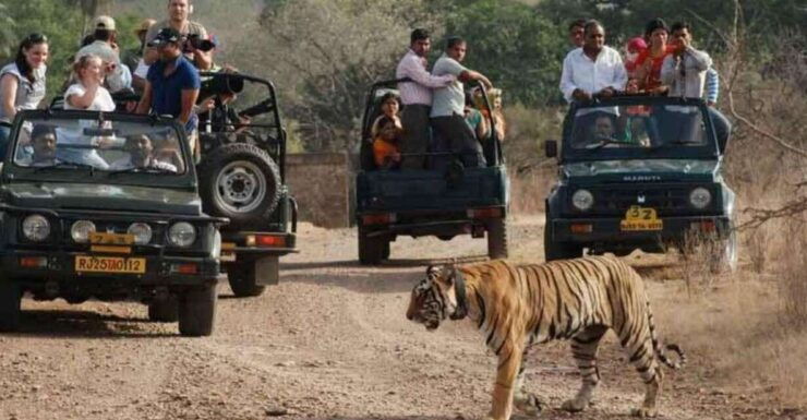 From Delhi: 7-Day Golden Triangle Trip & Ranthambore Safari - Trip Overview